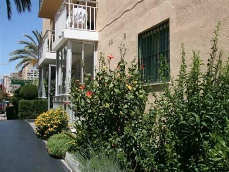 Apartamentos Palm Court Benidorm Exteriör bild