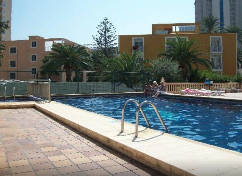 Apartamentos Palm Court Benidorm Exteriör bild