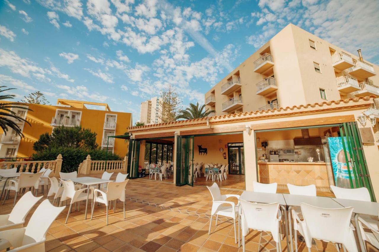 Apartamentos Palm Court Benidorm Exteriör bild