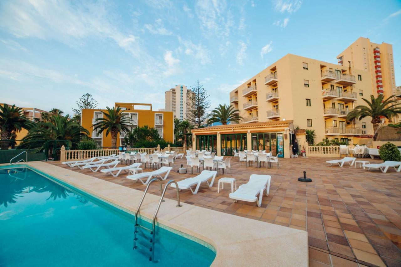 Apartamentos Palm Court Benidorm Exteriör bild